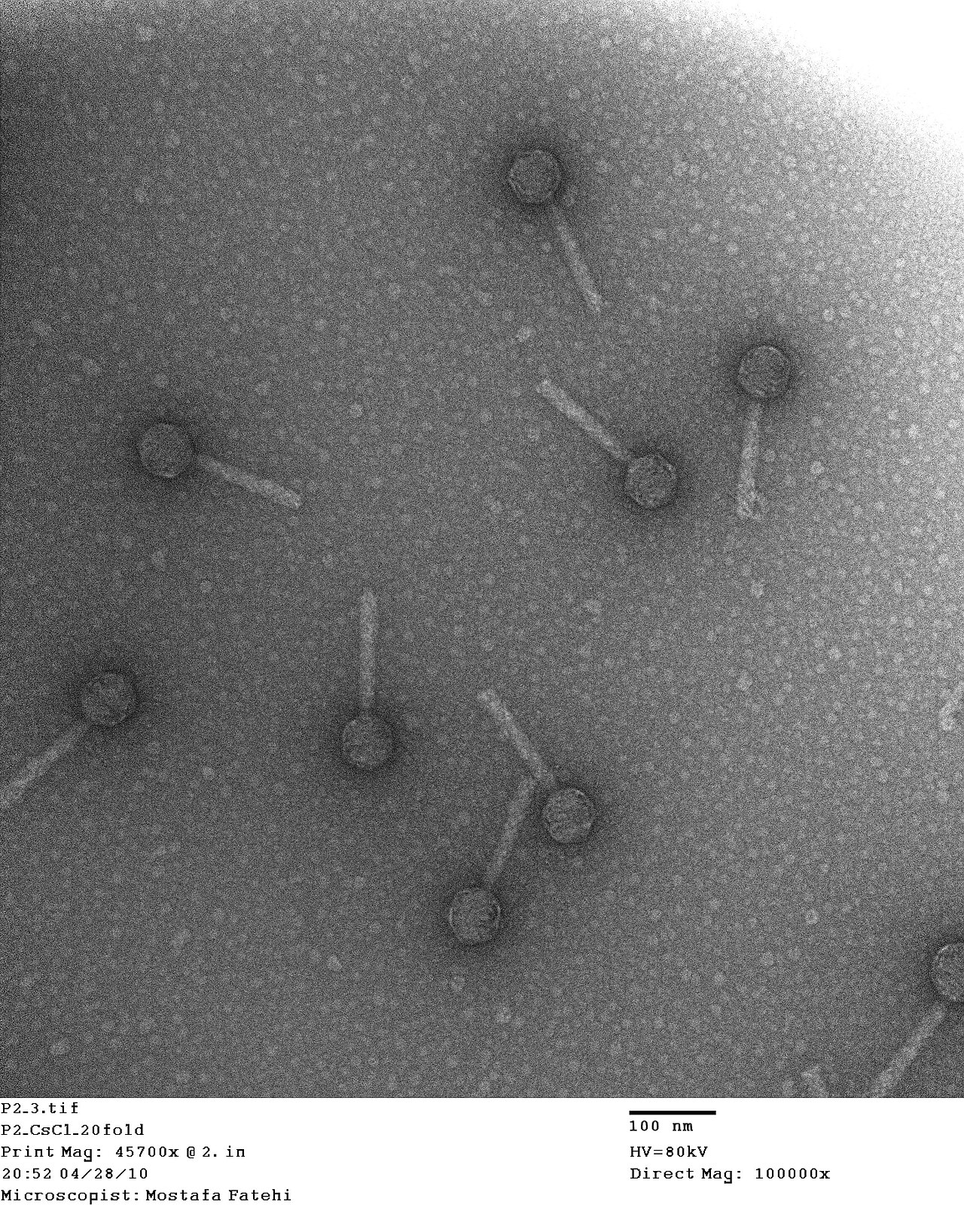 Claude Discovers a Novel Enzyme System: ART Explained