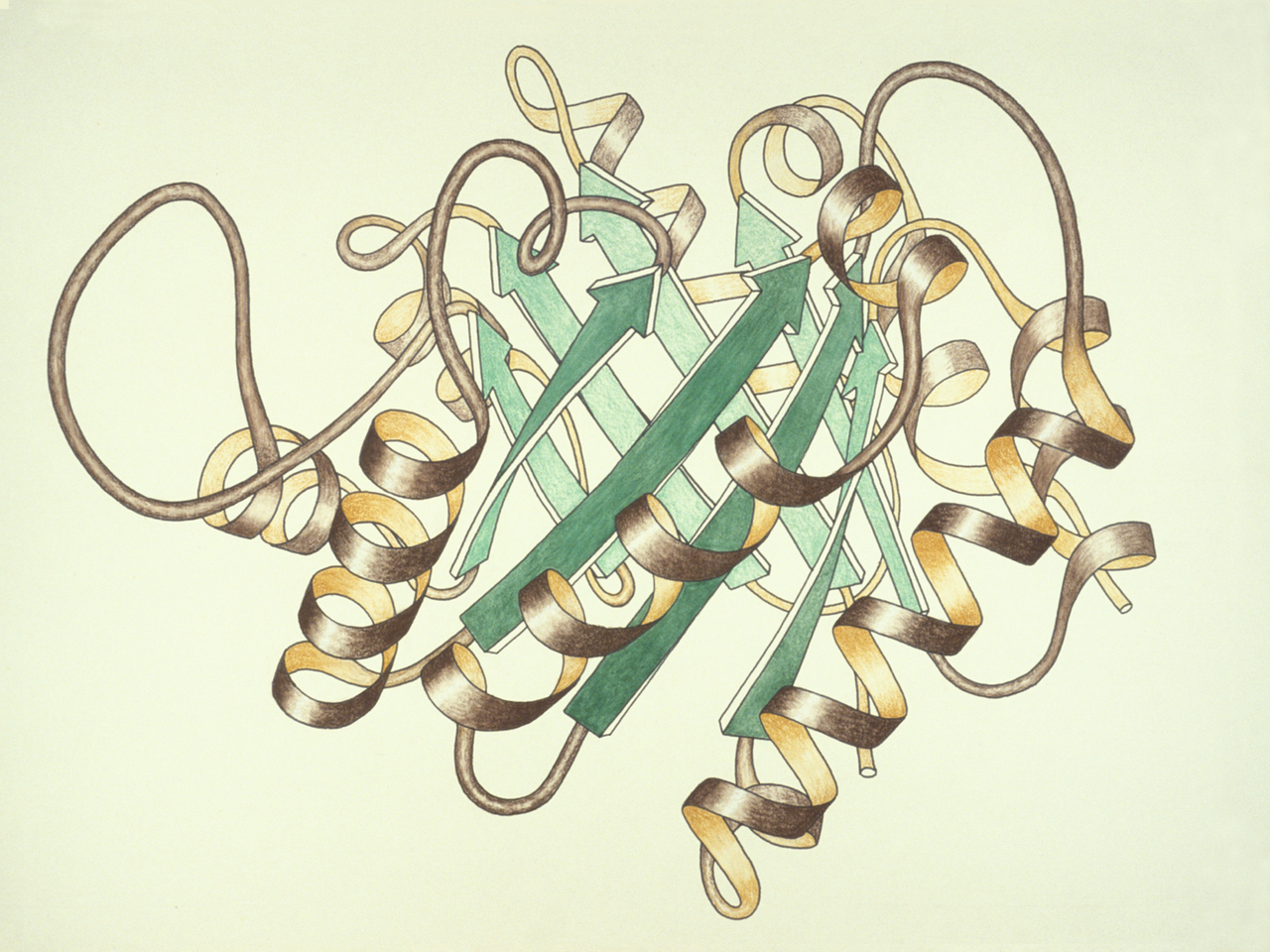 Claude Designed Protein Binders for 14 of 15 Targets. What That Does and Does Not Mean