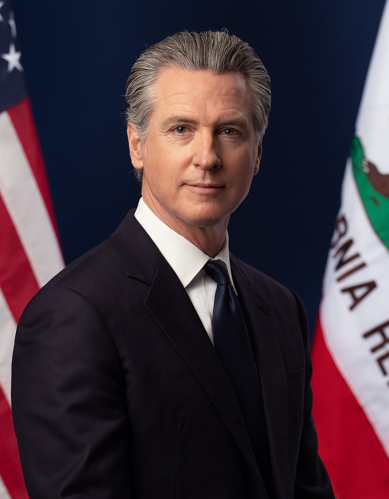 Newsom's AI Kill Switch Order: What It Actually Requires